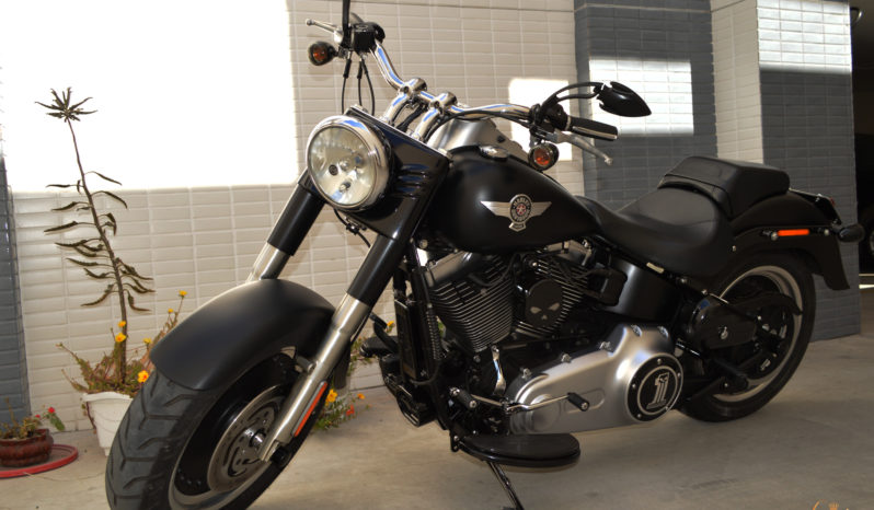HARLEY-DAVIVIDSON SOFTAIL FAT BOY SPECIAL COSTUMIZADA completo