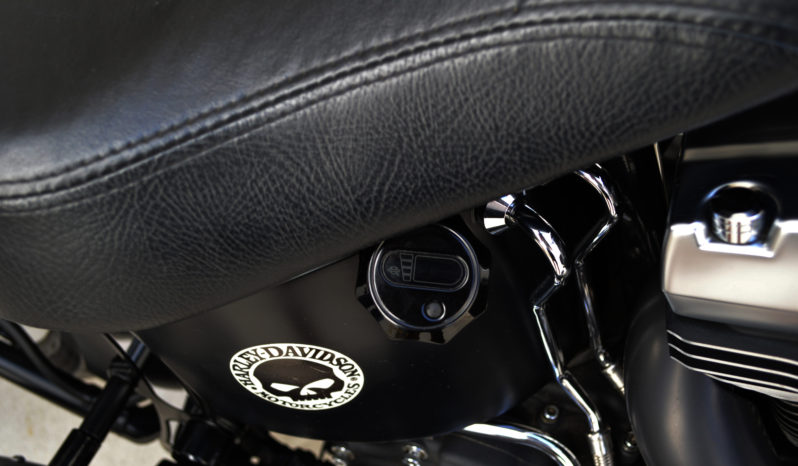 HARLEY-DAVIVIDSON SOFTAIL FAT BOY SPECIAL COSTUMIZADA completo