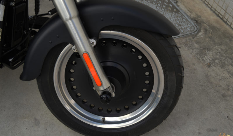 HARLEY-DAVIVIDSON SOFTAIL FAT BOY SPECIAL COSTUMIZADA completo