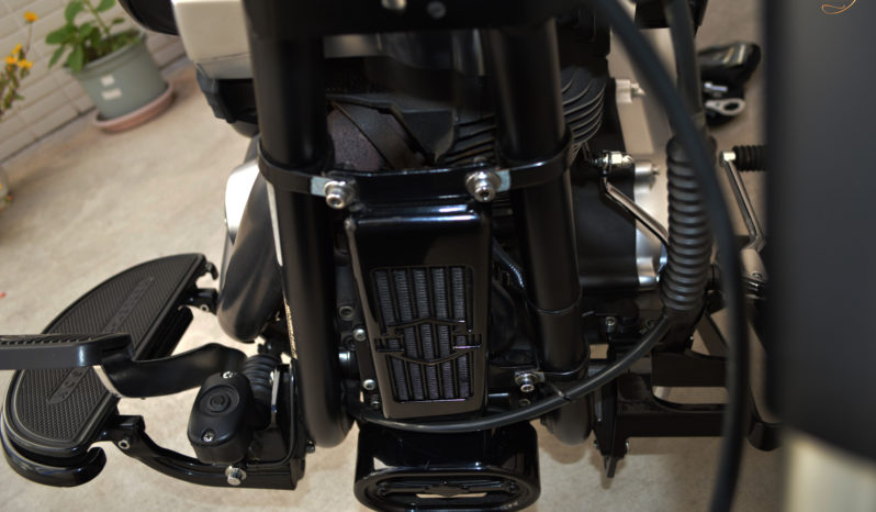 HARLEY-DAVIVIDSON SOFTAIL FAT BOY SPECIAL COSTUMIZADA completo