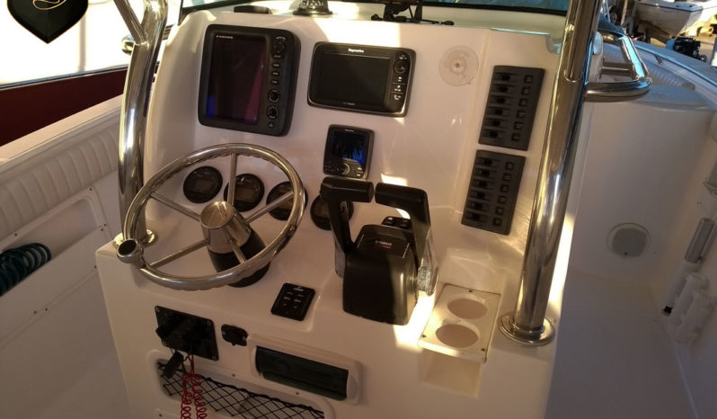 Lancha de Pesca Victory 300 completo