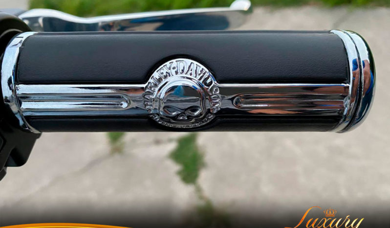 Harley-Davidson FatBoy 2020 completo