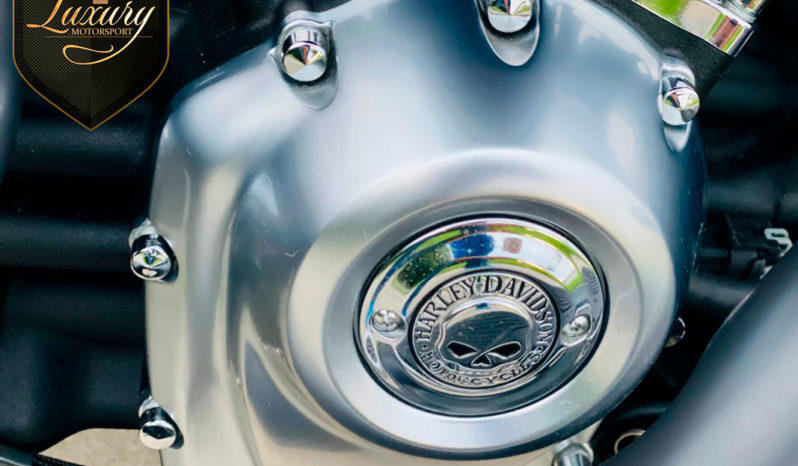 Harley-Davidson FatBoy 2020 completo