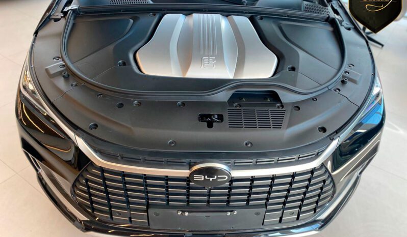 BYD TAN EV 2023 7 LUGARES completo