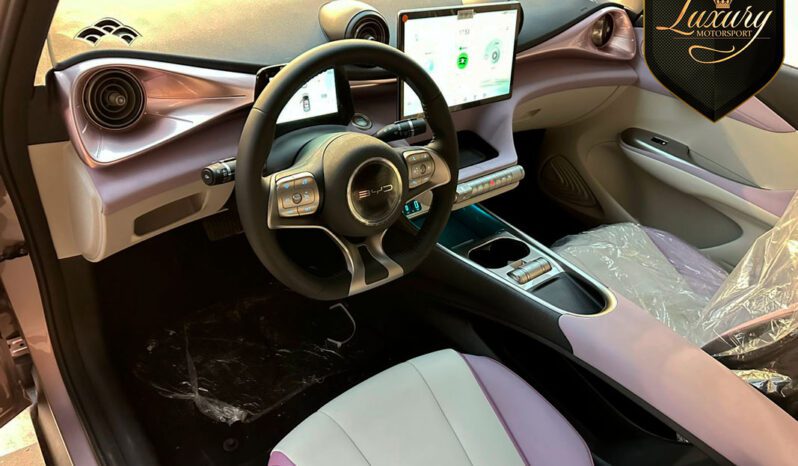 BYD DOLPHIN 2024 ELÉTRICO completo