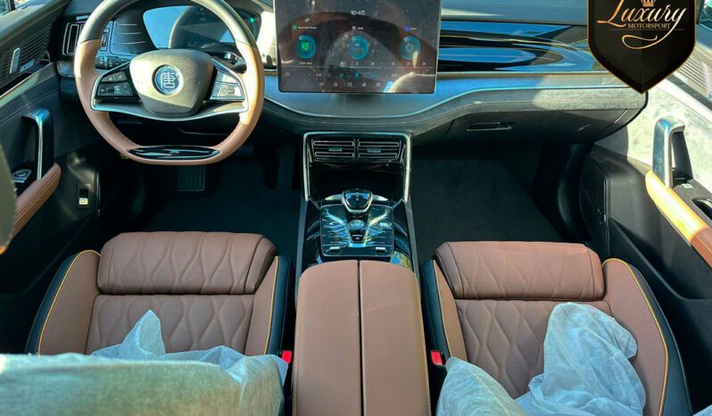 TAN EV 7 LUGARES BRANCO completo