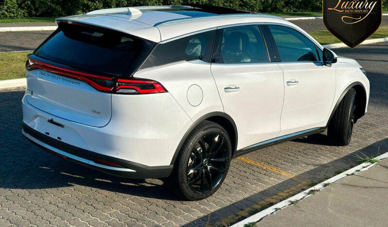 TAN EV 7 LUGARES BRANCO completo