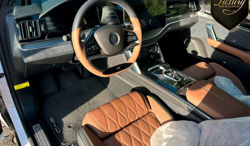 TAN EV 7 LUGARES BRANCO completo