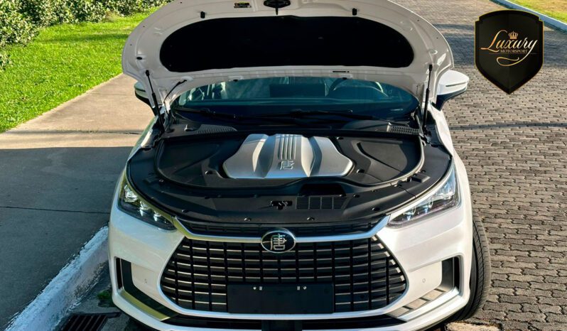 TAN EV 7 LUGARES BRANCO completo