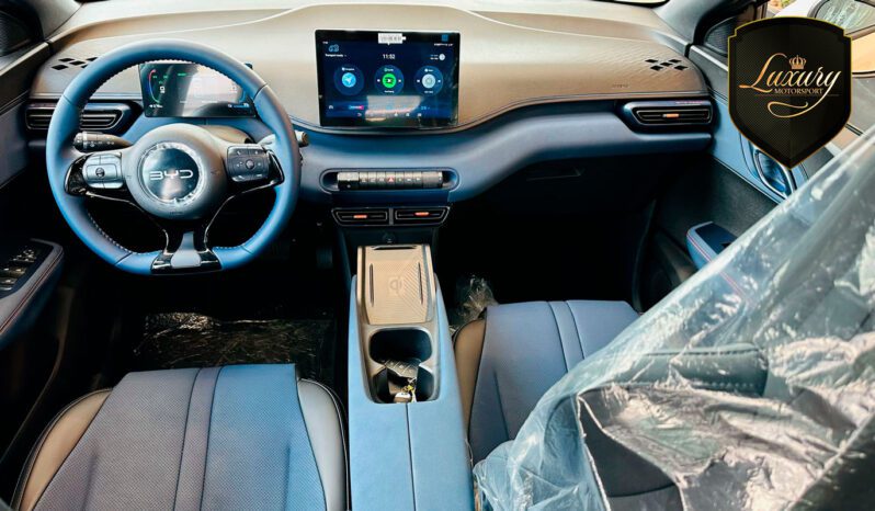 BYD DOLPHIN MINI 2024 completo