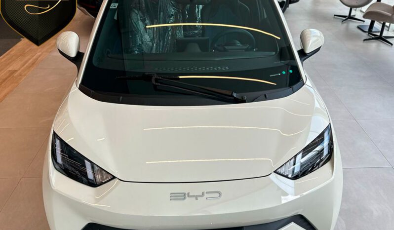 BYD DOLPHIN MINI 2024 completo