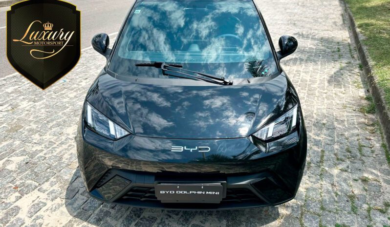 BYD DOLPHIN MINI 2024 completo