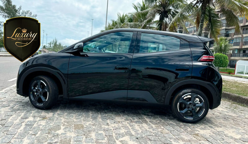 BYD DOLPHIN MINI 2024 completo