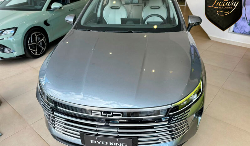 BYD KING 2025 GL & GS completo
