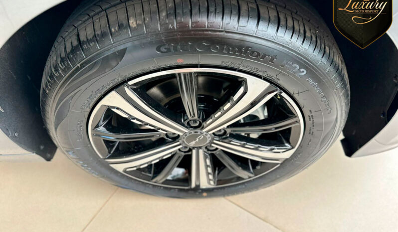BYD KING 2025 GL & GS completo