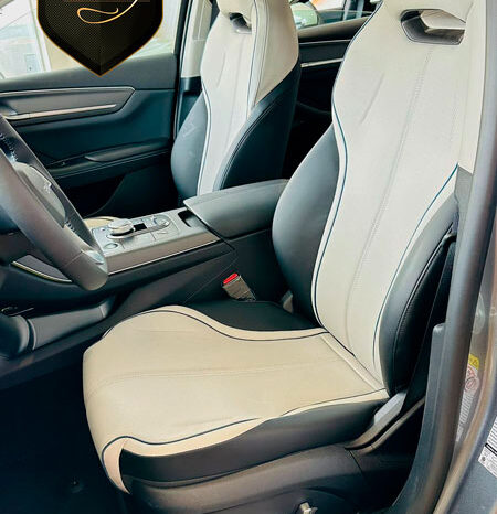 BYD KING 2025 GL & GS completo