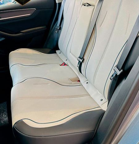 BYD KING 2025 GL & GS completo