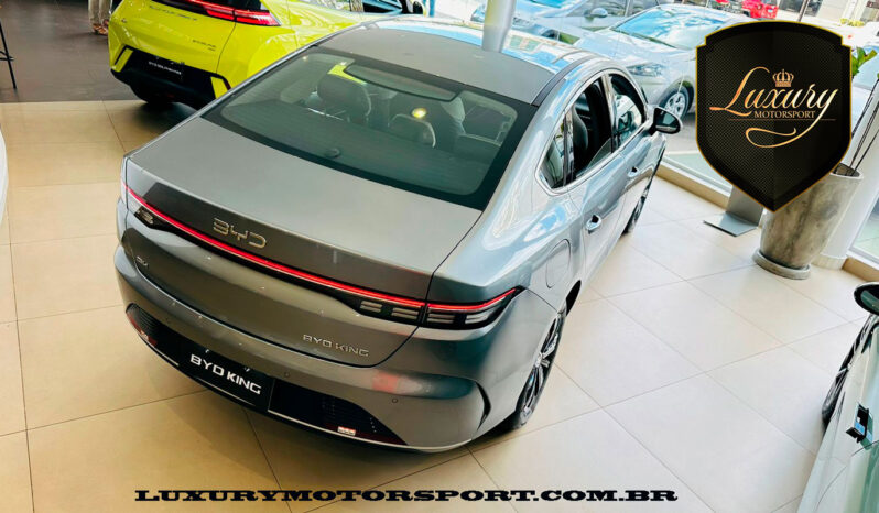 BYD KING 2025 GL & GS completo