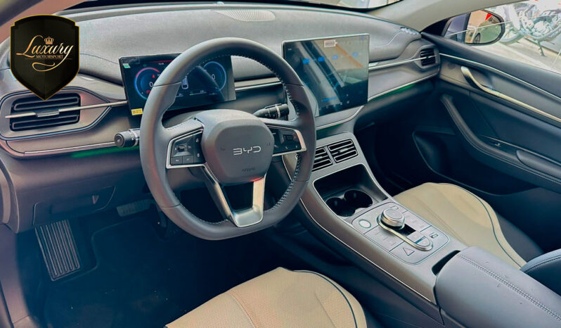 BYD KING 2025 GL & GS completo