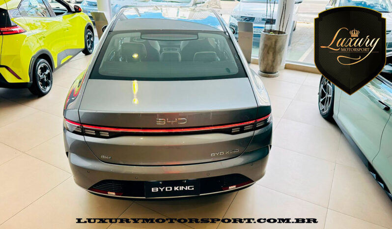 BYD KING 2025 GL & GS completo