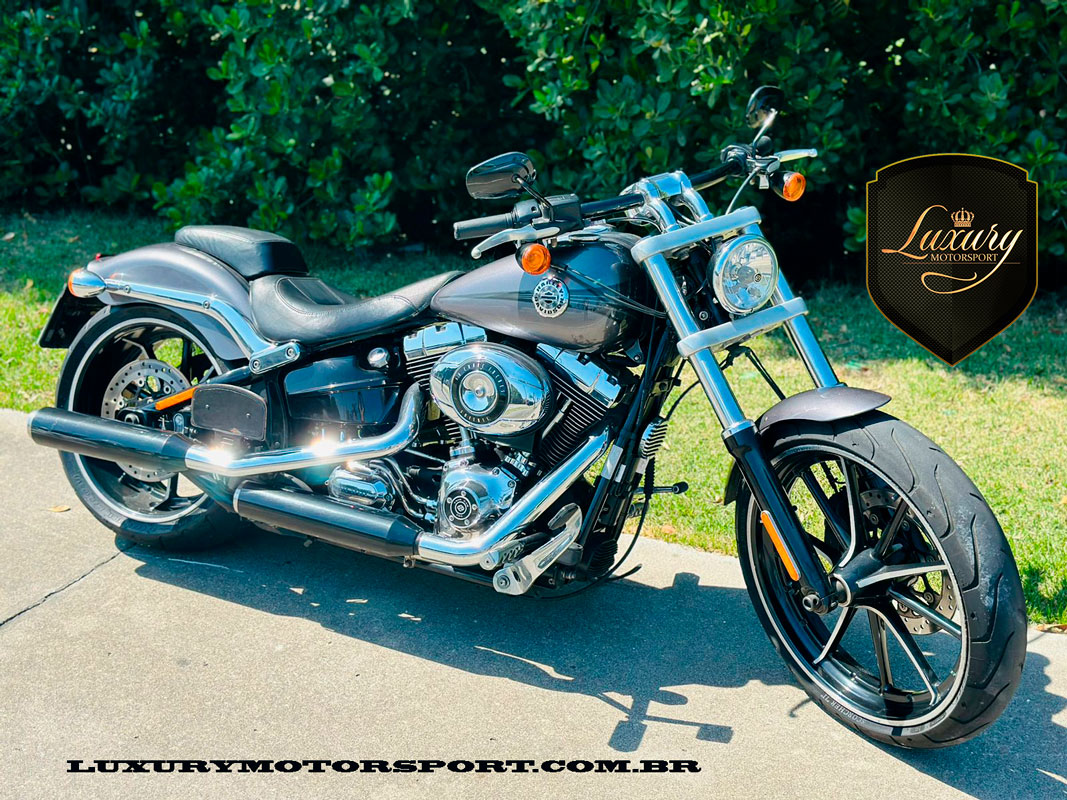 SOFTAIL BREAKOUT 2015 CINZA