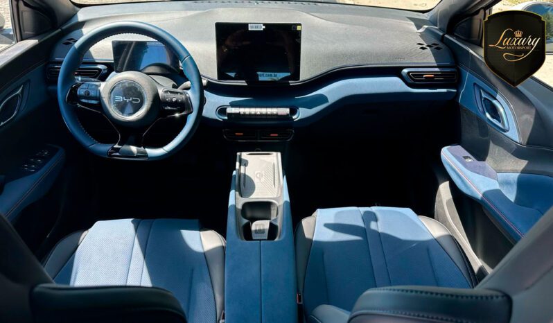 BYD DOLPHIN MINI 2025 completo