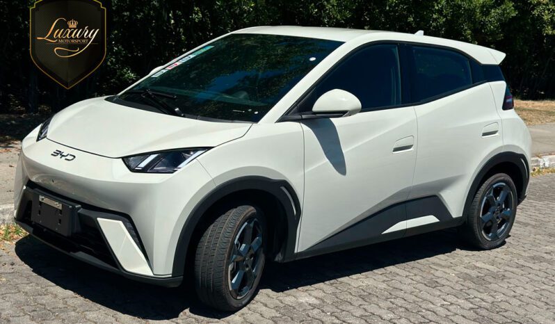 BYD DOLPHIN MINI 2025 completo