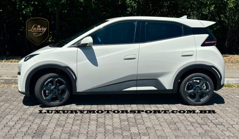 BYD DOLPHIN MINI 2025 completo