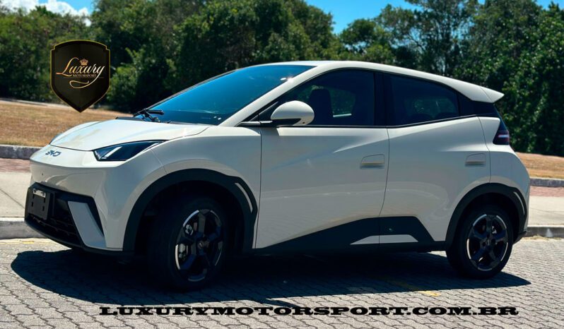 BYD DOLPHIN MINI 2025 completo