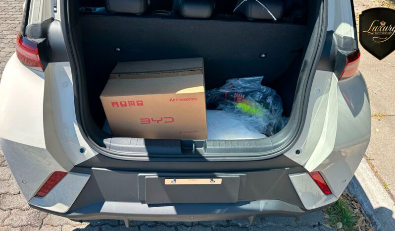 BYD DOLPHIN MINI 2025 completo