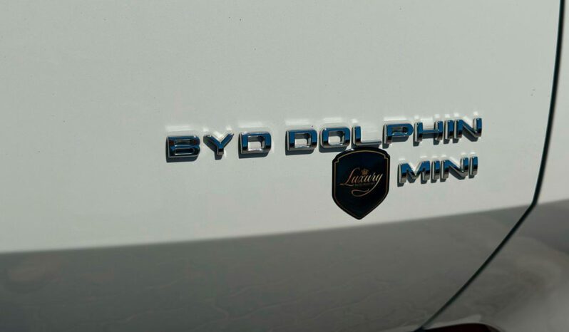 BYD DOLPHIN MINI 2025 completo