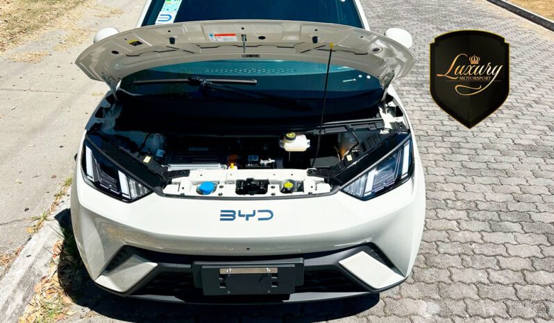 BYD DOLPHIN MINI 2025 completo