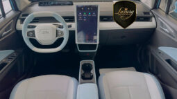 NETA AYA PRONTA ENTREGA completo