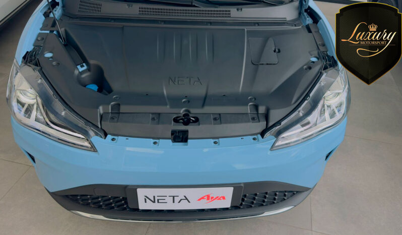 NETA AYA PRONTA ENTREGA completo