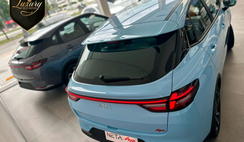 NETA AYA PRONTA ENTREGA completo