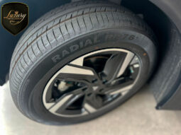 NETA X 500 LUXURY completo