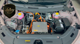 NETA X 500 LUXURY completo