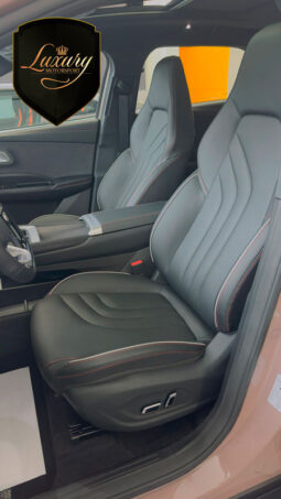 NETA X 500 LUXURY completo