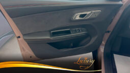 NETA X 500 LUXURY completo