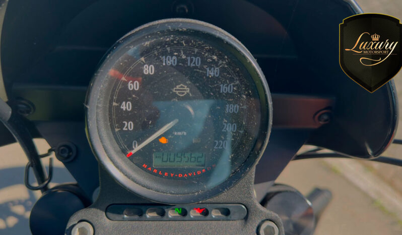 XL1200NS IRON 2020 AZUL completo