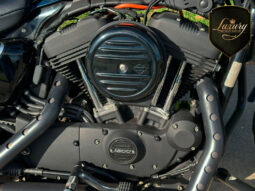 XL1200NS IRON 2020 AZUL completo