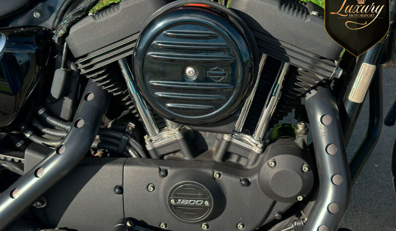 XL1200NS IRON 2020 AZUL completo