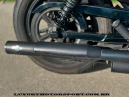 XL1200NS IRON 2020 AZUL completo