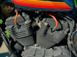 XL1200NS IRON 2020 AZUL completo