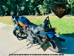 XL1200NS IRON 2020 AZUL completo