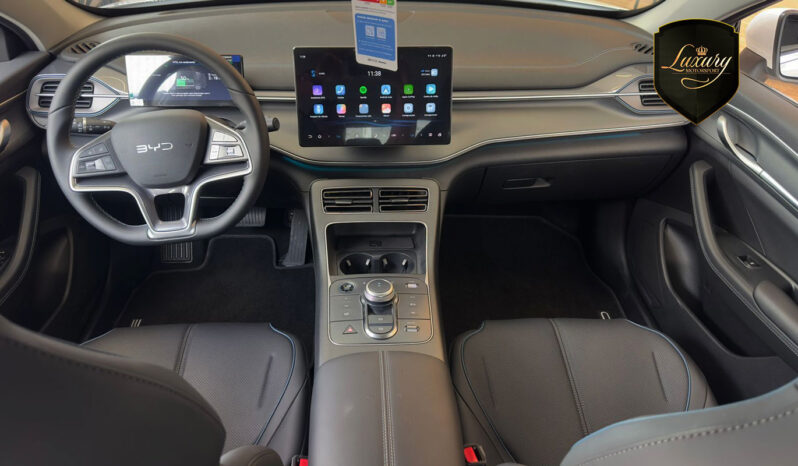 BYD KING GS 2026 CNPJ completo
