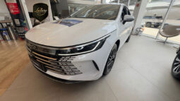 BYD KING GS 2026 CNPJ completo