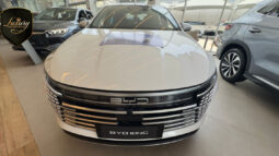BYD KING GS 2026 CNPJ completo