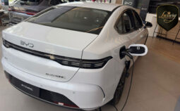 BYD KING GS 2026 CNPJ completo