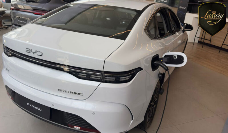 BYD KING GS 2026 CNPJ completo